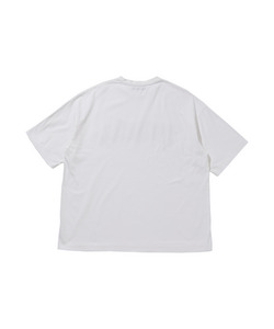 PIECE PRINTED TEE SS 詳細画像