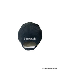 SOUTHPARK LOGO EMBROIDERY CAP 詳細画像