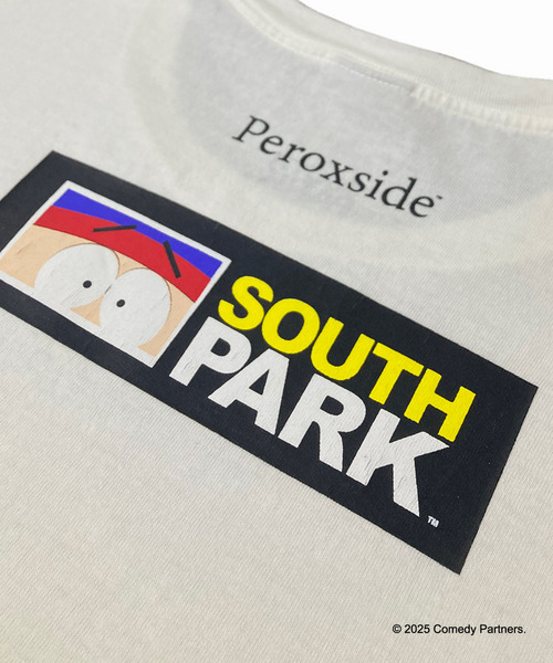 STAN LS TEE 詳細画像 WHITE 4